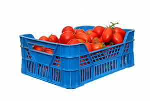 Plastic Tomato Crates